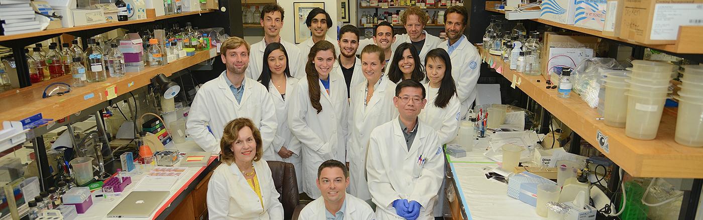 Gudas Lab